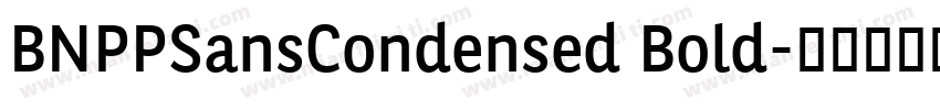 BNPPSansCondensed Bold字体转换